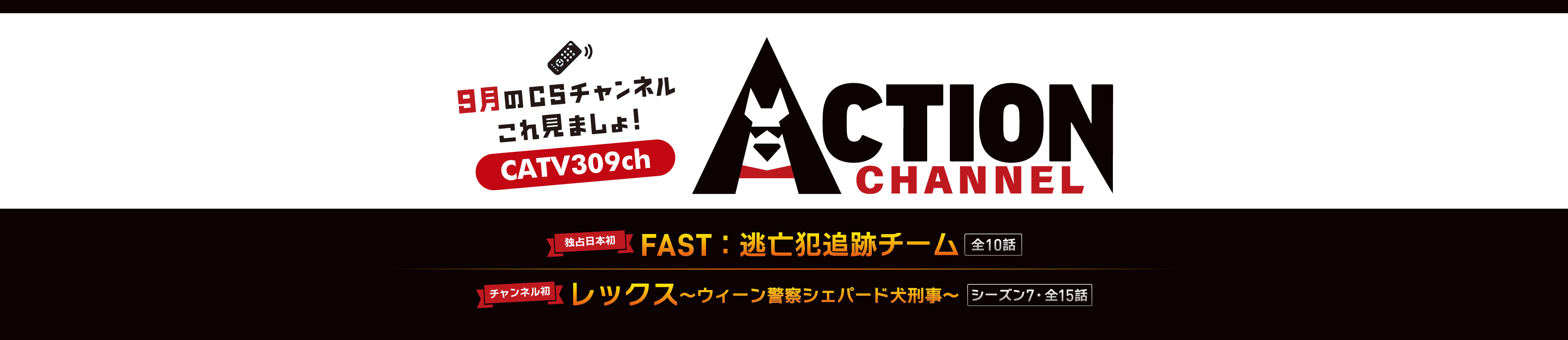今月のCSこれ見ましょ！アクションチャンネル
